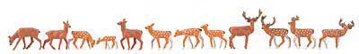 Fallow and Red Deer -- pkg(12)