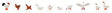 Hens, Ducks and Geese pkg(10)
