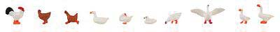 Hens, Ducks and Geese pkg(10)
