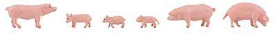 Pigs -- pkg(6)