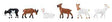 Goats -- pkg(6)