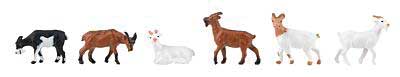 Goats -- pkg(6)