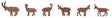 Ibexes and Chamois -- pkg(6)