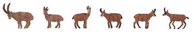 Ibexes and Chamois -- pkg(6)