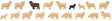 Domestic Sheep -- pkg(18)