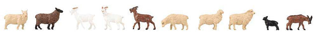 Sheep and Goats -- 5 of Each