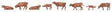 Allgau Swiss Cattle -- Brown pkg(8)