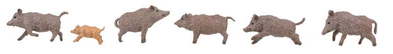 Wild Boars -- pkg(6)