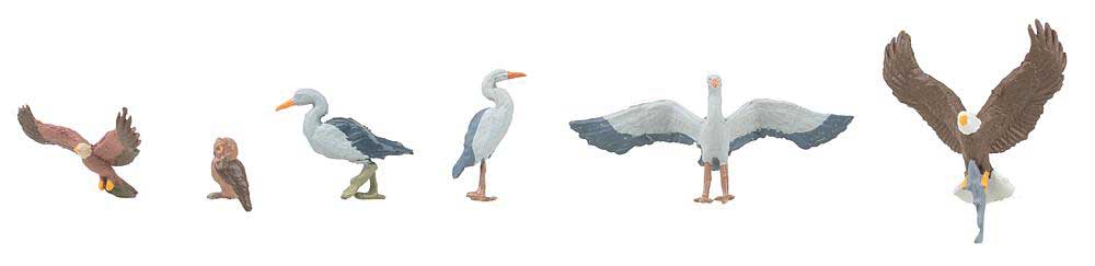 Wild Birds -- 2 Eagles, 3 Storks, 1 Owl-2