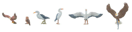 Wild Birds -- 2 Eagles, 3 Storks, 1 Owl-2