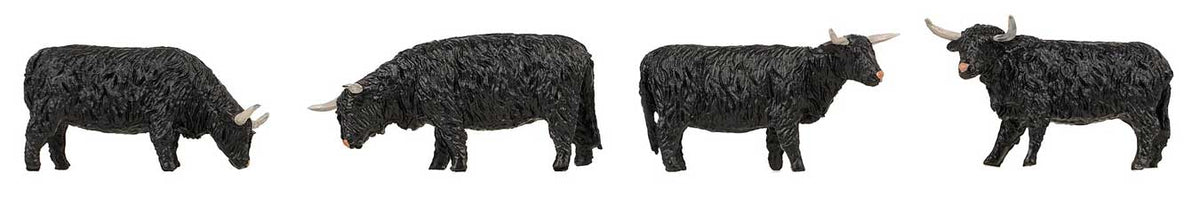 Highland Cattle -- Black pkg(4)