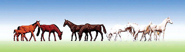 Animals -- Horses (brown & white)