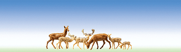Animals -- Fallow Deer & Red Deer, pkg(12)