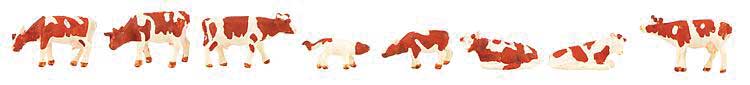 Cows -- Brown and White pkg(8)