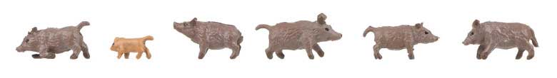 Wild Boars -- pkg(6)