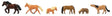 Horses and Ponies -- pkg(6)