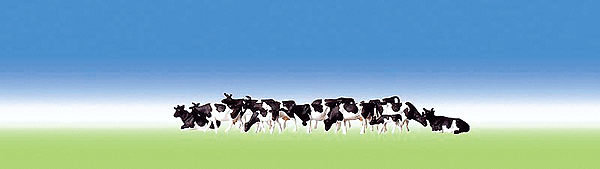 Cows -- Holsteins - Black & White