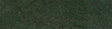 Grass Fibers 1/8"  2-3mm -- Fir Green 1.2oz  35g