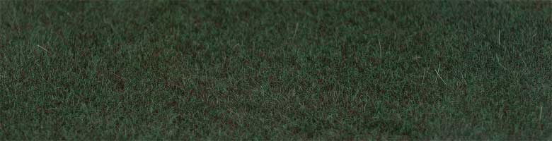 Grass Fibers 1/8"  2-3mm -- Fir Green 1.2oz  35g