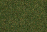 Static Wild Grass 3/16" 4mm Fibers 2.2lb 1kg -- Summer Lawn-1