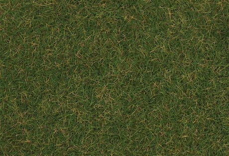 Static Wild Grass 3/16" 4mm Fibers 2.2lb 1kg -- Summer Lawn-1