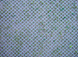 Embossed Panel Building Material Sheet -- Diamond Lattice with Grass