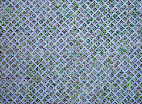 Embossed Panel Building Material Sheet -- Diamond Lattice with Grass