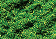 Scatter Material Ground Cover - 1oz  28.3g -- Spring Green