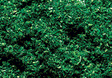 Scatter Material Ground Cover - 1oz  28.3g -- Forest Green