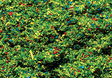 Scatter Material Ground Cover - 1oz  28.3g -- Meadow Green