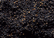 Ballast -- Brown/Gray