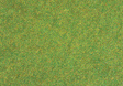 Scatter Material -- Grass, Dark Green