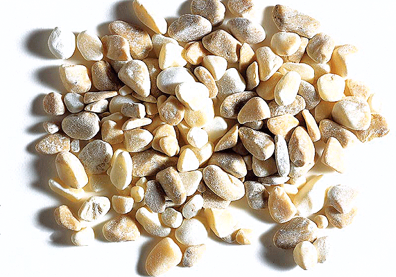 Rocks -- Beach Pebble, Beige