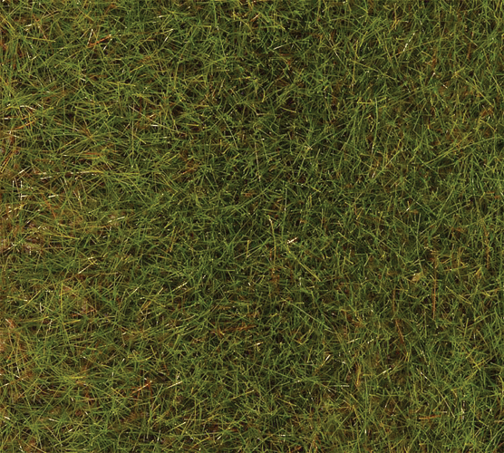 Static Grass - Premium - 2.8oz  80g -- Spring Meadow