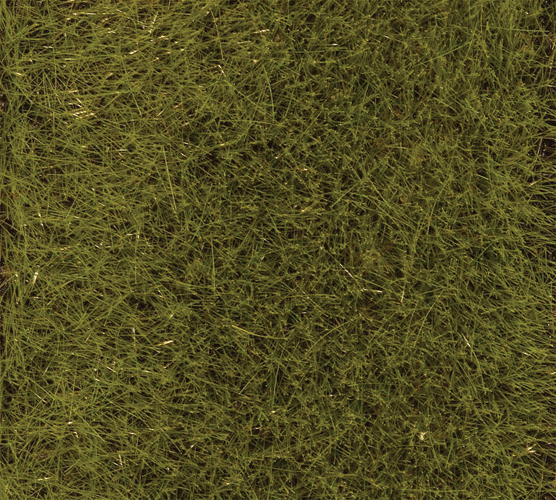 Static Grass - Premium - 2.8oz  80g -- Early Summer Meadow