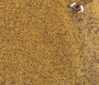 Ground Cover/Flocking - Premium -- Hay - 1oz  30g
