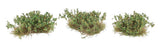 Flower Clusters -- Dark Green-3