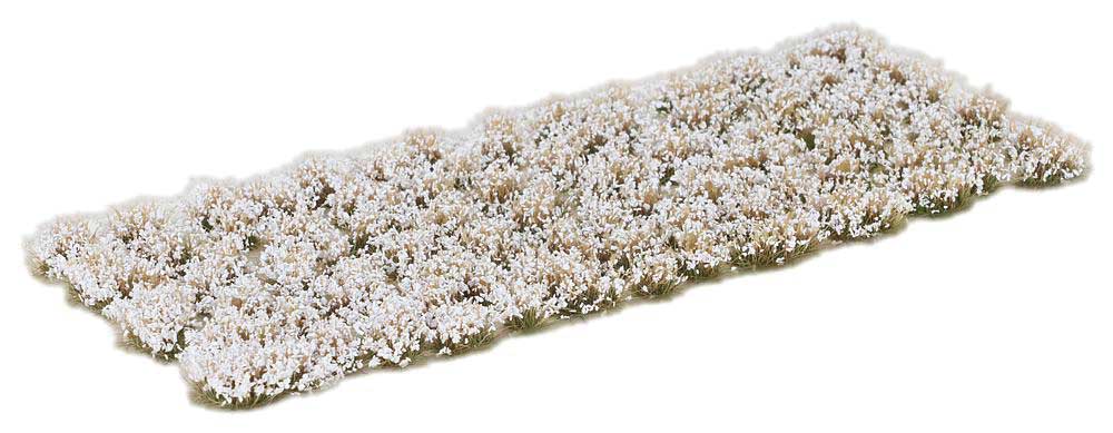 Flower Clusters -- White-2