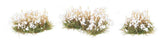 Flower Clusters -- White-3