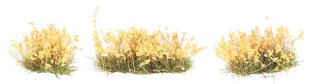 Flower Clusters -- Yellow-3