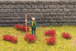 Flower Clusters -- Red-1