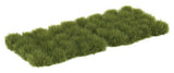 Grass Tufts -- Dry Grass-2
