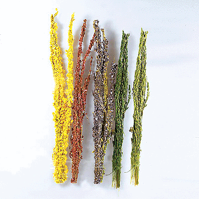 Premium Natural Shrubs -- Dark Green
