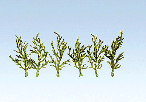 Premium Plants -- Climbers, Green