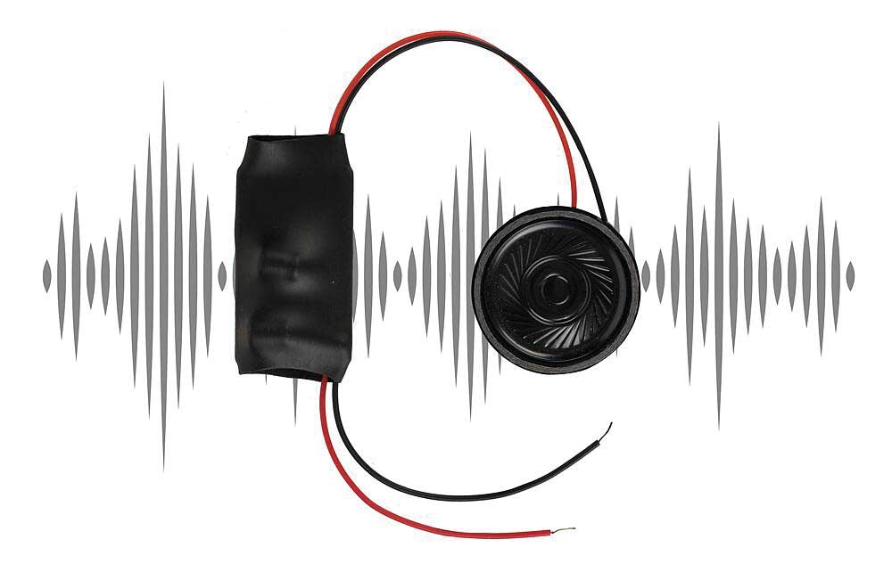 Rapunzel Sound Module with Speaker -- 16V AC or 12V DC-2