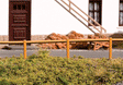 Wooden Railing - Kit -- 48-7/8"  124.2cm Total