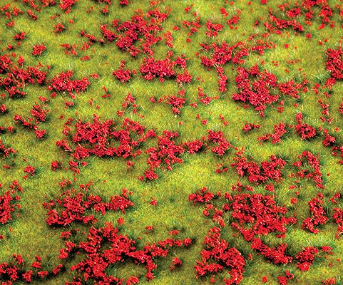 Ground Cover -- Flowering Meadow (red)