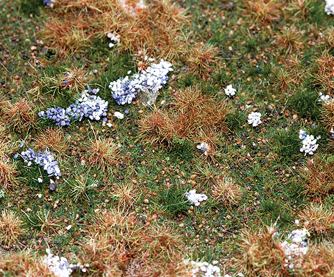 Premium Countryside Segment -- Forest Floor 8-1/4 x 5-7/8 x 3/8"  21 x 14.8 x 1cm