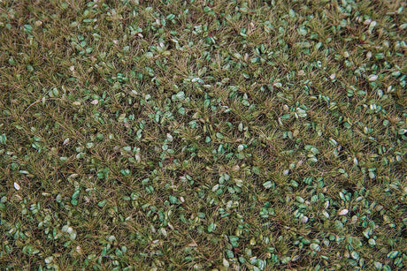 Flexible Wild Herb Field -- 8-1/4 x 5-13/16 x 3/8cm  21 x 14.8 x .9cm