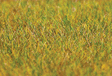 Static Grass 1.06oz  30g -- Meadow 1/4"  .6cm Fibers